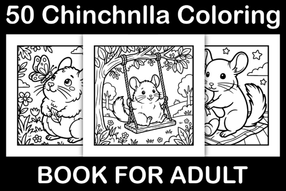 Chinchnlla Coloring Pages Graphics
